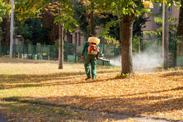 Best Cockroach Control Services  in Uniontown, PA